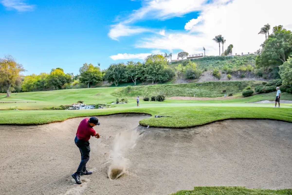 South Hills Golf Club cover image