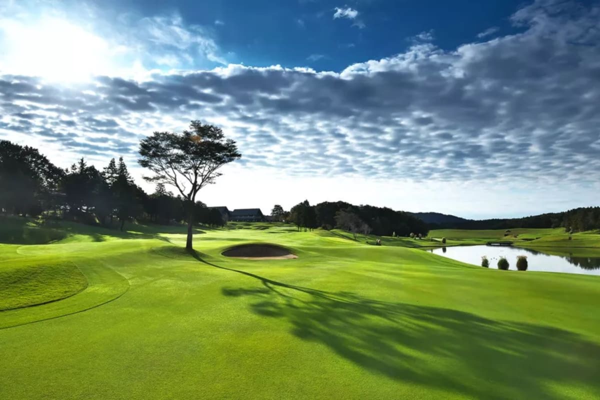 Summit Golf Club cover image