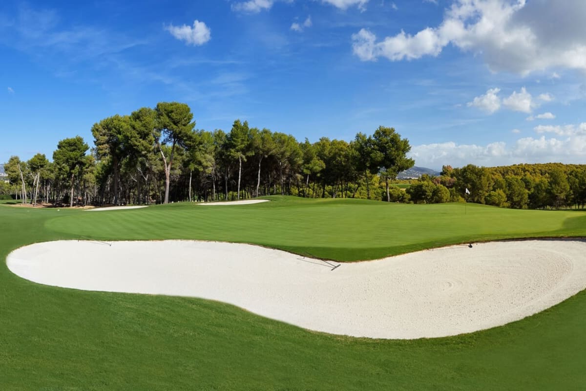 T Golf Calvia cover image