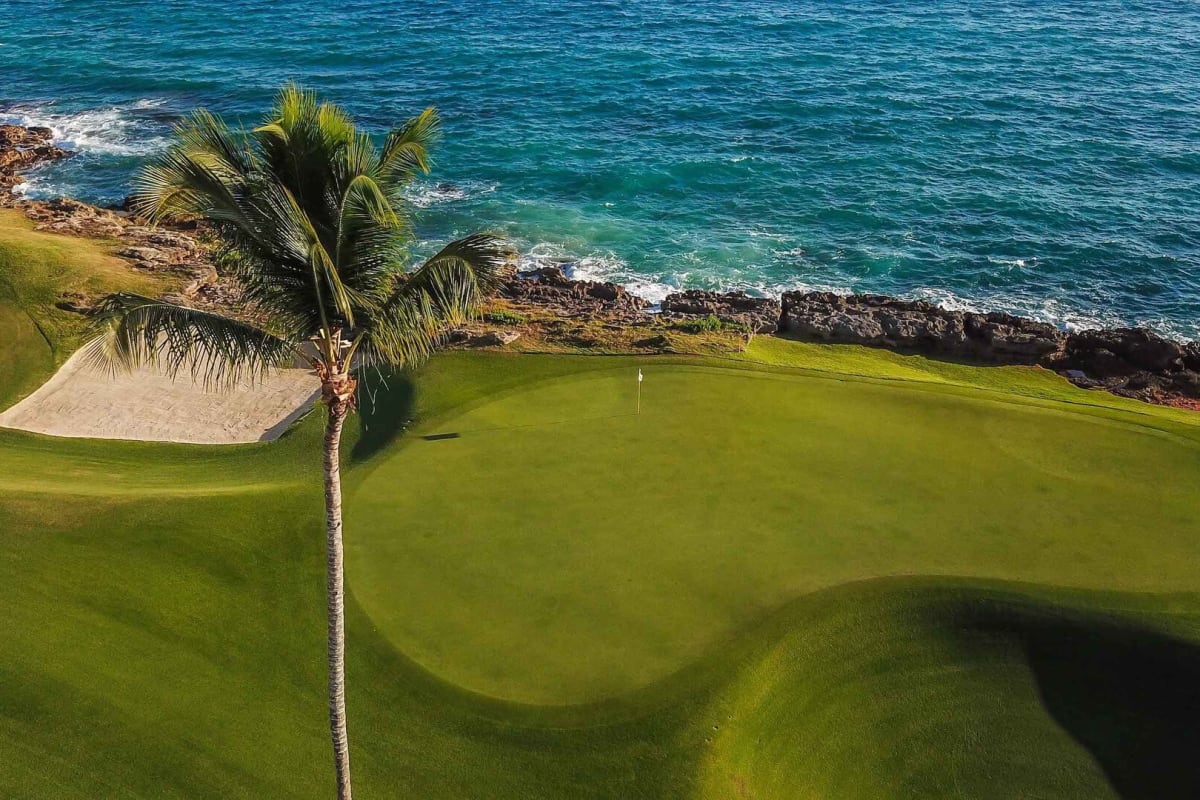 Casa de Campo - Teeth of the Dog  cover image