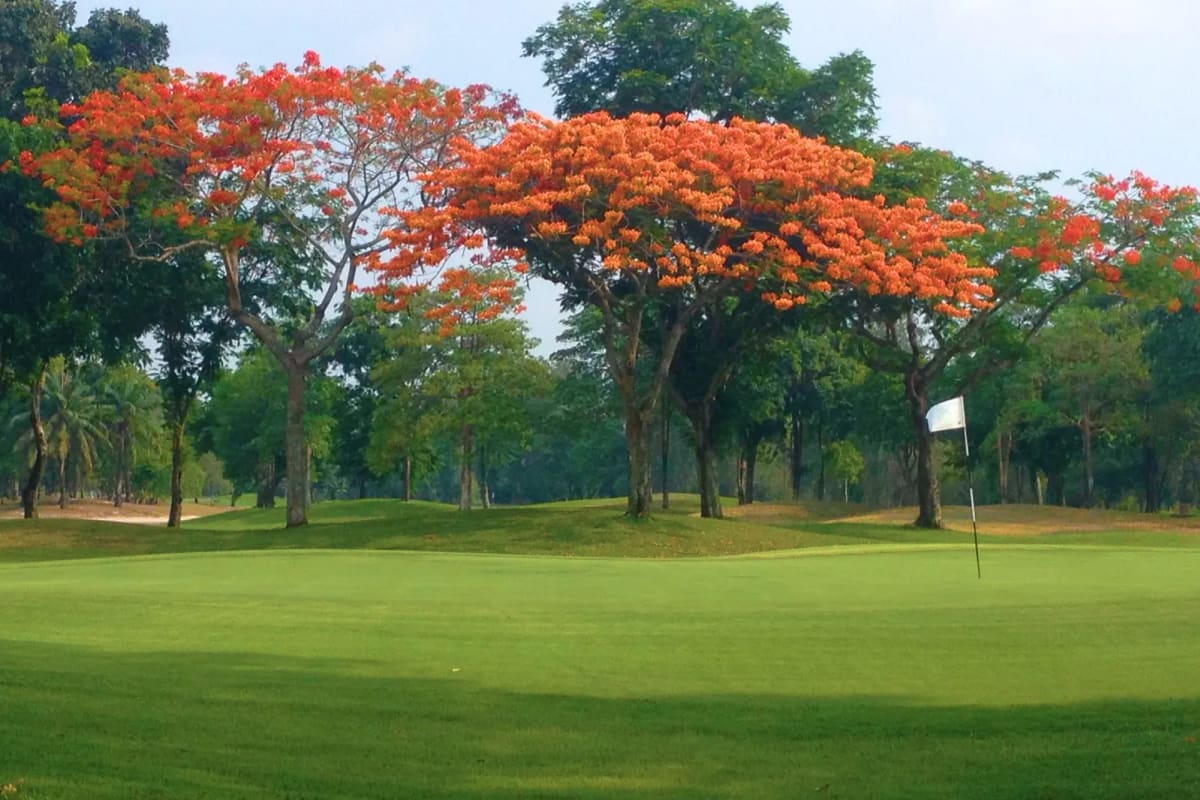 The Legacy Golf Club cover image