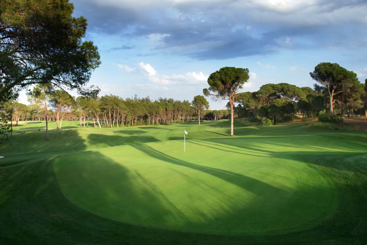 The Montgomerie Maxx Royal cover image
