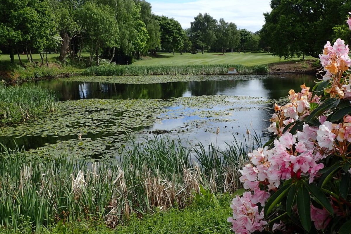 Upton by Chester Golf Club cover image