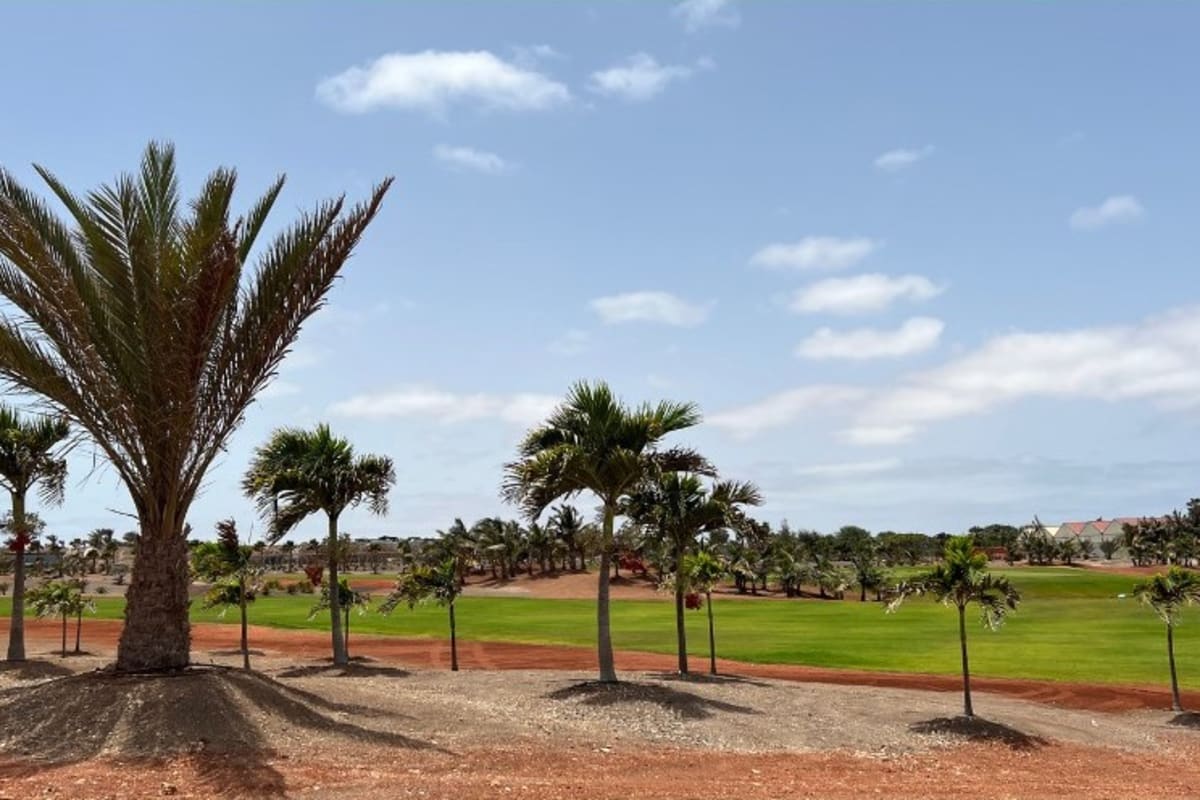 Viveiro Golf & Country Club cover image