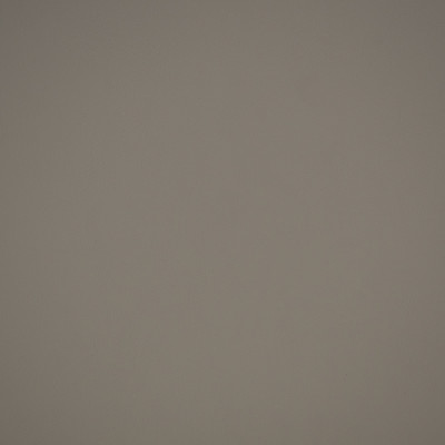 70380 Allante Grey Fabric: E12, C13, AUTO, MARINE, AUTO VINYL, MARINE VINYL, FAUX LEATHER, RESIDENTIAL, RESIDENTIAL VINYL, CONTRACT, CONTRACT VINYL, VINYL, AUTOMOTIVE, CONFERENCE, OFFICE, RESIDENTIAL, INTERIOR MARINE, EXTERIOR MARINE, RESTAURANTS