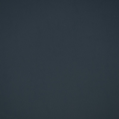 70392 Allante Galaxy Fabric: E13, E12, C13, 397, AUTO, MARINE, AUTO VINYL, MARINE VINYL, FAUX LEATHER, RESIDENTIAL, RESIDENTIAL VINYL, CONTRACT, CONTRACT VINYL, VINYL, AUTOMOTIVE, INTERIOR VINYL, EXTERIOR VINYL, MARINE VINYL, OUTDOOR VINYL