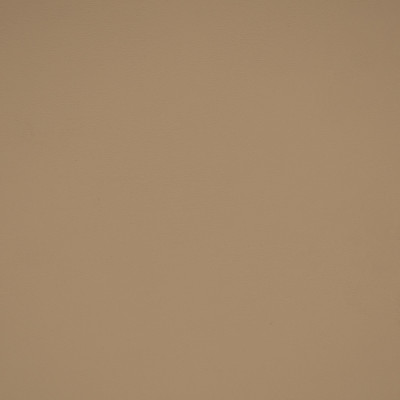 72355 Allante Lt Parchment Fabric: E13, C13, AUTO, MARINE, AUTO VINYL, MARINE VINYL, FAUX LEATHER, RESIDENTIAL, RESIDENTIAL VINYL, CONTRACT, CONTRACT VINYL, VINYL, AUTOMOTIVE, CONFERENCE, OFFICE, INTERIOR MARINE, EXTERIOR MARINE, RESTAURANTS