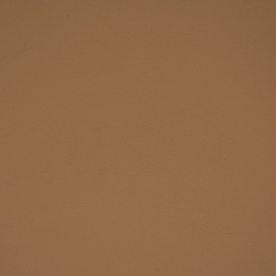 72359 Allante Lt Sand Fabric: E11, C13, AUTO, MARINE, AUTO VINYL, MARINE VINYL, FAUX LEATHER, RESIDENTIAL, RESIDENTIAL VINYL, CONTRACT, CONTRACT VINYL, VINYL, AUTOMOTIVE, CONFERENCE, INTERIOR MARINE, EXTERIOR MARINE, BOAT VINYL, RESTAURANTS
