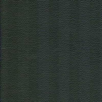 74481 Evergreen Fabric: