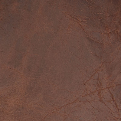 75236 Harness Brown Fabric: