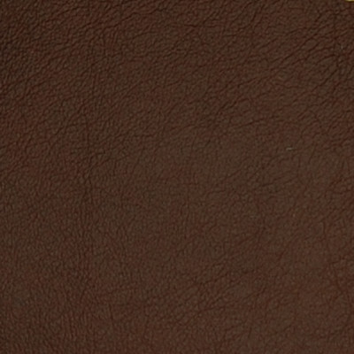 75237 Cafe Fabric: L10, L05, L09, LEATHER, LEATHER CARD, LEATHER HIDE, LEATHER HIDES, BROWN LEATHER