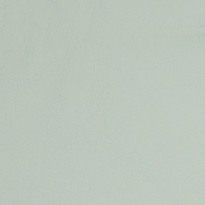 75462 Powder Blue Fabric: L12, L11, L06, SPA, POWDER BLUE, LIGHT BLUE, LIGHT BLUE LEATHER, LEATHER, ROBINS EGG BLUE LEATHER, TOP GRAIN HIDE, TOP GRAIN LEATHER