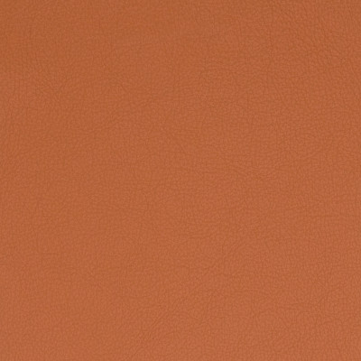 75466 Sunset Fabric: L12, L11, L06, SUNSET, ORANGE, ORANGE LEATHER, LEATHER, PROTECTED FINISH HIDE, TOP GRAIN LEATHER, GOLDEN BROWN LEATHER HIDE