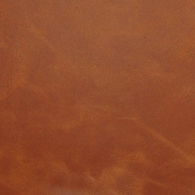 A2246 Amber Fabric: L10, L07, L08, AMBER, BROWN LEATHER, LEATHER, UPHOLSTERY LEATHER, DISTRESSED LEATHER
