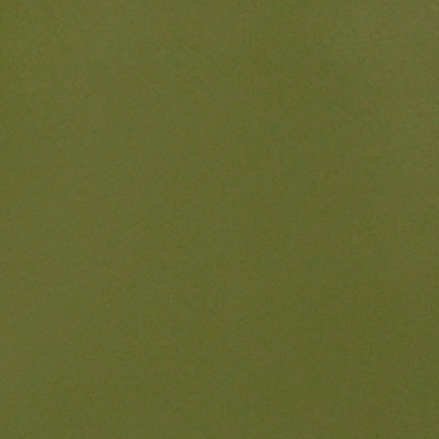 A4112 Pale Green Fabric: E11, B53, VINYL, CAO, GREEN, GREEN VINYL, CONTRACT VINYL, OFFICE VINYL, RESTAURANT VINYL, HOSPITALITY VINYL, AUTOMOTIVE, AUTO, CARS, RV, COMMERCIAL VINYL