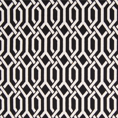 A6371 Domino Fabric: C08, B97, BLACK, WHITE, INTERWOVEN