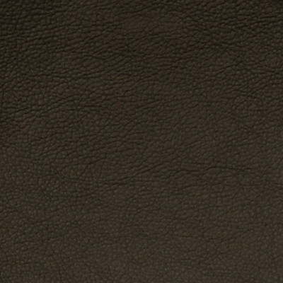 A7669 Graphite Fabric:
