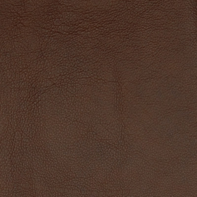 A7679 Pinto Fabric: