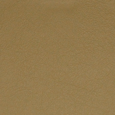 A7702 Ginger Fabric: L09, LEATHER, LEATHER CARD, LEATHER HIDE, LEATHER HIDES, RED LEATHER, AUTOMOTIVE LEATHER, UPHOLSTERY LEATHER