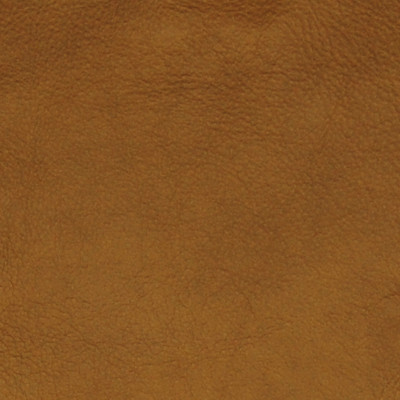 A7706 Honey Fabric: L09, LEATHER, LEATHER CARD, LEATHER HIDE, LEATHER HIDES, GOLD LEATHER, UPHOLSTERY LEATHER