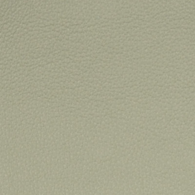 A7750 Pumas Fabric: