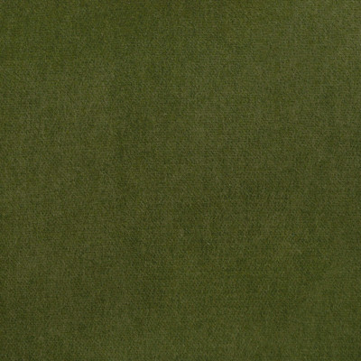 A7950 Forest Fabric: