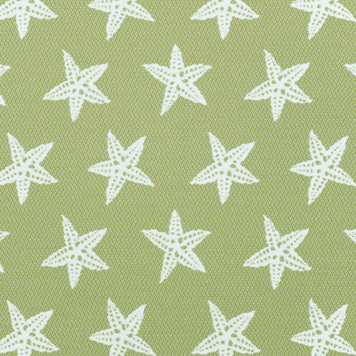 A8043 Tropique Fabric: