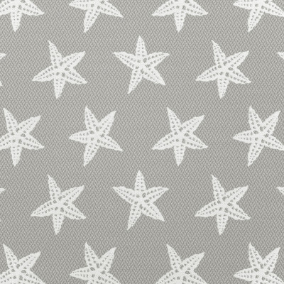 A8053 Smoke Fabric: D79, C30, OUTDOOR, OUTDOOR FABRICS, SMOKE, STARFISH, SEASCAPE, NOVELTY STARFISH