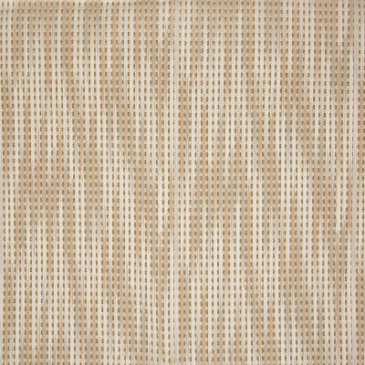 A8062 Malibu Beige Fabric: D79, C30, OUTDOOR, OUTDOOR FABRICS, MALIBU BEIGE, NEUTRAL IKAT, BEIGE IKAT, IKAT STRIPE