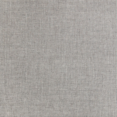 A8901 Platinum Fabric: E12, C51, CONTRACT, TWEED, GRAY, GREY, MULTI TEXTURE, WOVEN