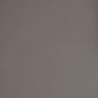 A9220 Steel Fabric: E65, C58, SOLID, VINYL, GRAY, FAUX LEATHER, SOLID VINYL, GRAY SOLID, GREY, GREY SOLID, GRAY VINYL, GREY VINYL, GRAY FAUX LEATHER, GREY FAUX LEATHER, AUTOMOTIVE, AUTO