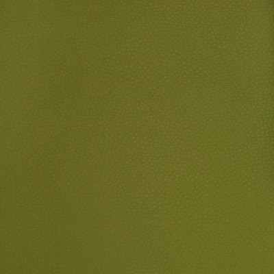A9223 Sprig Fabric: E65, C58, SOLID VINYL, GREEN, FAUX LEATHER, SOLID VINYL, GREEN SOLID, SOLID FAUX LEATHER, GREEN VINYL, GREEN FAUX LEATHER, AUTOMOTIVE, AUTO