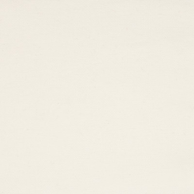 B1202 Eggshell Fabric: C81, WHITE OUTDOOR, WHITE SOLID, SNOW WHITE SOLID, SNOW WHITE OUTDOOR, SOLID WHITE OUTDOOR, WHITE OUTDOOR, WHITE CANVAS, NATURAL WHITE CANVAS