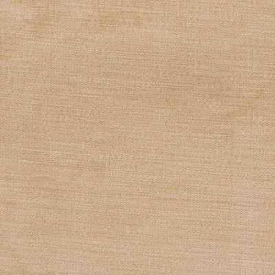 B1254 Raffia Fabric: E48, C82, BEIGE SOLID, SOLID BEIGE, BEIGE VELVET, KHAKI VELVET, NEUTRAL VELVET, NEUTRAL SOLID, BEIGE STRIE VELVET