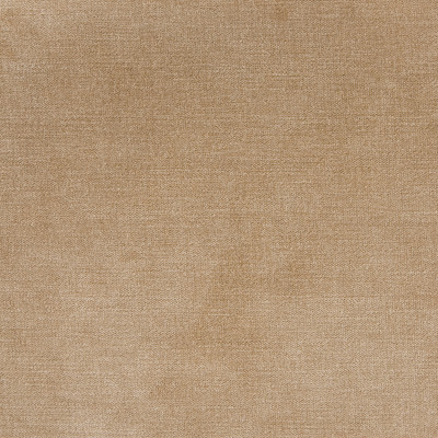 B1255 Taupe Fabric: