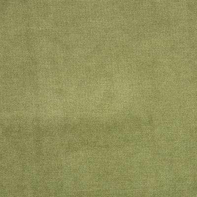 B1272 Fern Fabric: E62, E59, E48, E09, D74, C82, ESSENTIALS, ESSENTIAL FABRIC, GREEN VELVET, GREEN SOLID, FERN VELVET, GREEN STRIE VELVET, MOSS VELVET, MOSS SOLID, FERN SOLID