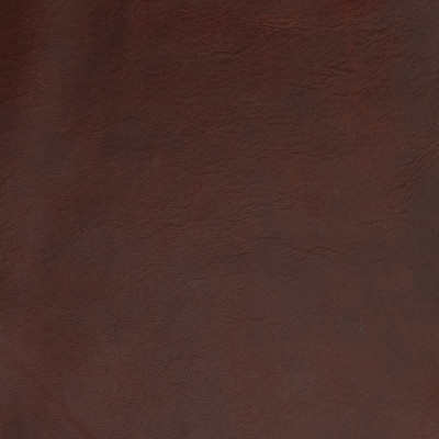 B1692 Latin Spice Fabric: L10