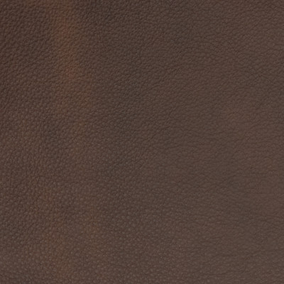 B1693 Caliginous Fabric: