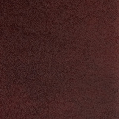 B1696 Vino Fabric: L10