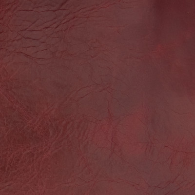 B1700 Cinnamon Fabric: L10