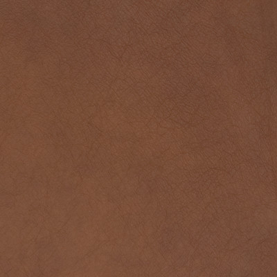 B1703 Golden Rod Fabric: