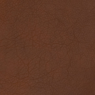 B1704 Tigers Eye Fabric: L10