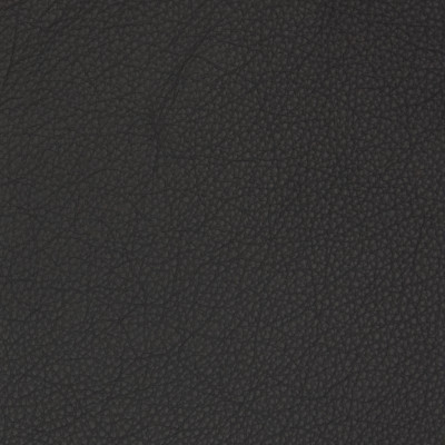 B1706 Nocturnal Fabric: L10