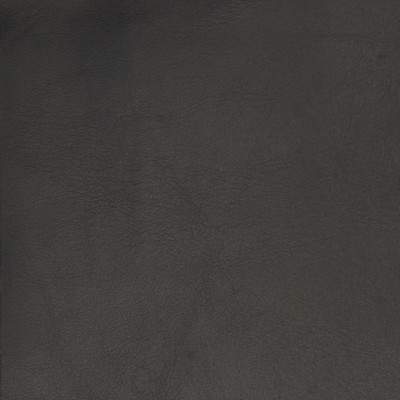 B1708 Night Owl Fabric: L10