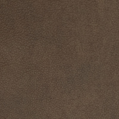 B1716 Caribou Fabric: L10