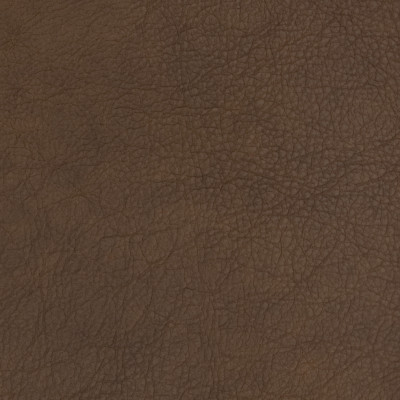 B1717 Fudgesicle Fabric: L10