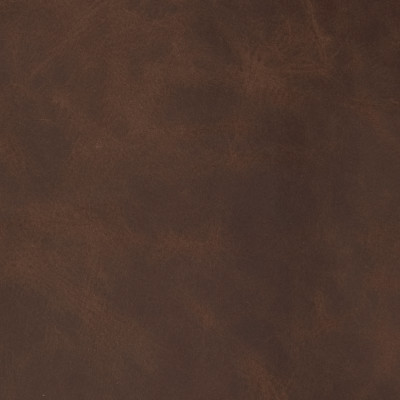 B1719 Average Brown Fabric: L10, LEATHER, LEATHER HIDE, BROWN