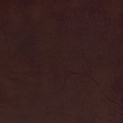 B1721 Bitters Fabric: L10