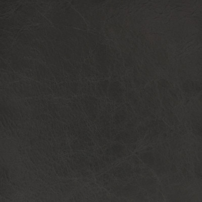 B1726 Wedgewood Fabric: L10