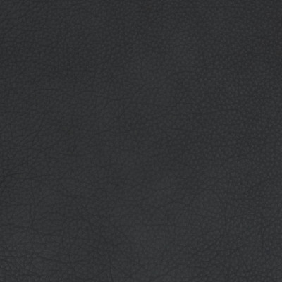 B1732 Sombre Fabric: L10, LEATHER, LEATHER HIDE, BLUE